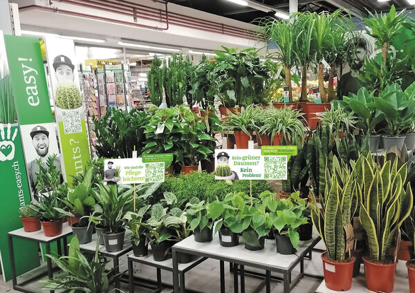 Werbemitteleinsatz im Gartencenter – «plants? easy!» zum Thema «Zimmerpflanzen».